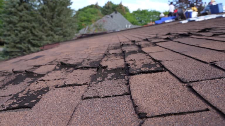 Best Emergency Roof Repair Services  in East Lexington, VA