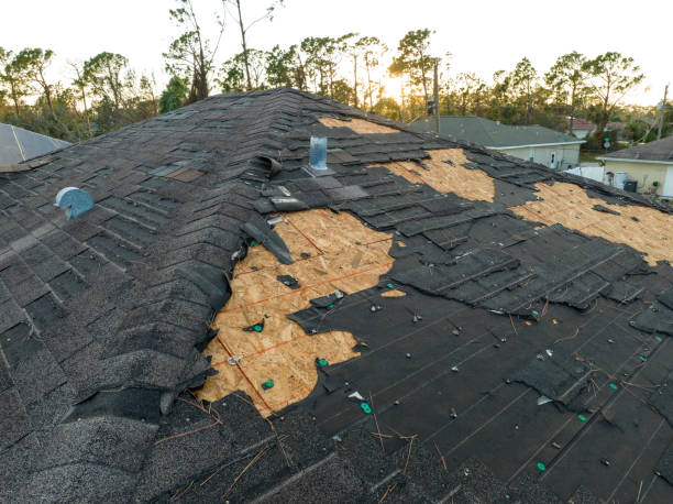 Best Asphalt Shingle Roofing  in East Lexington, VA