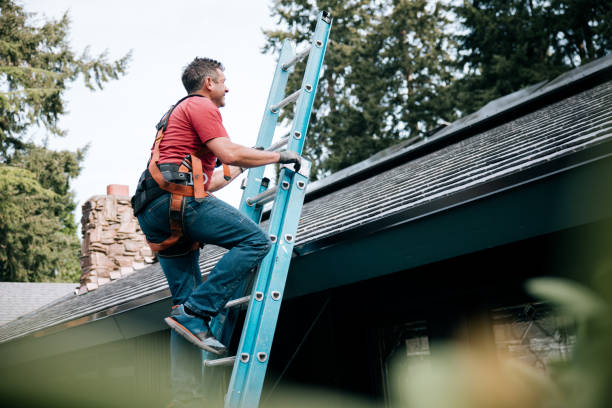 Best Roof Moss and Algae Removal  in East Lexington, VA